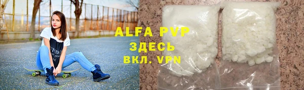 дурь Бородино